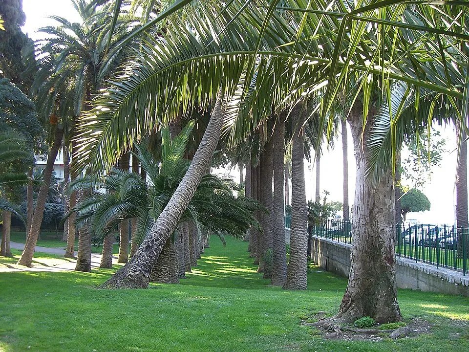 Le Parc Vigier à Nice